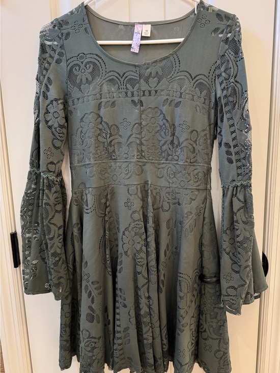 Alya Dresses & Skirts - Alya Sage Lace Bell Sleeve A-Line Dress